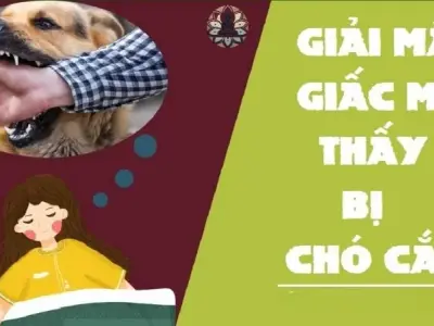 Nằm mơ thấy con chó cắn là điềm báo gì? Con số may mắn