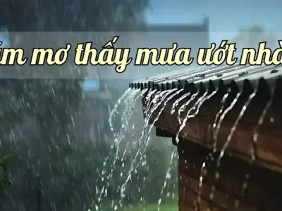 Nằm mơ thấy mưa ướt nhà - Điềm báo may mắn hay xui xẻo?