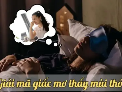 Nằm mơ thấy mùi thối - Giải mã điềm báo cho tương lai