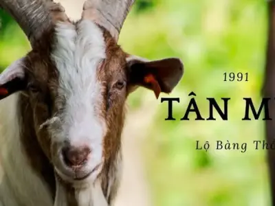 Hướng nhà hợp tuổi 1991 Nam giới - Bí quyết đem lại tài lộc