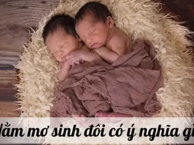 Nằm mơ sinh đôi có ý nghĩa gì? Điềm báo tốt hay xấu?