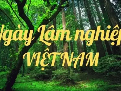 Ngày Lâm nghiệp Việt Nam: Hành động vì một tương lai xanh