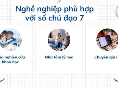 Số chủ đạo 7 phù hợp với nghề nghiệp gì? Bí quyết thành công