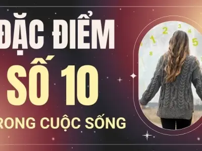 Số chủ đạo 10 hợp với số nào nhất? Tính cách và tài năng