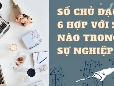 Số chủ đạo 6 hợp với số nào? Bí quyết tìm kiếm thành công