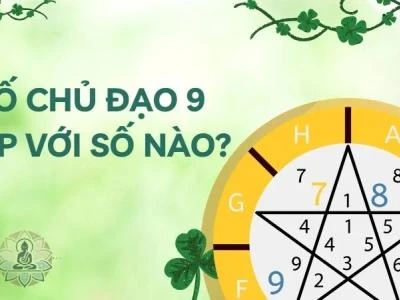 Số chủ đạo 9 hợp với số nào? Cách ứng dụng để thành công 