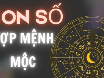 Những con số hợp người mệnh Mộc giúp đem lại may mắn và thịnh vượng