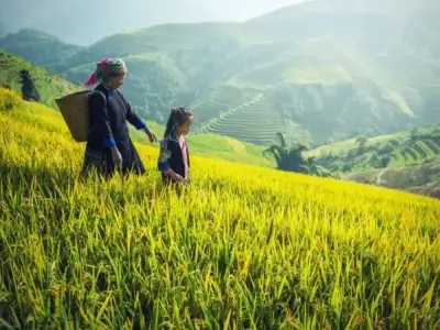 Tìm hiểu ngày văn hóa các dân tộc Việt Nam và giá trị văn hóa