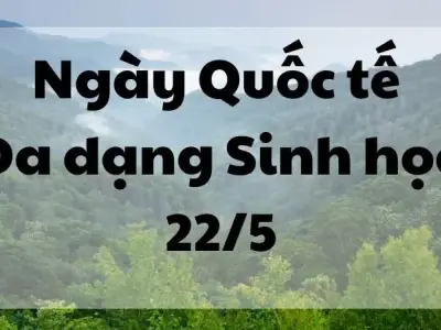 Tìm hiểu ý nghĩa ngày Quốc tế Đa dạng Sinh học 22/5
