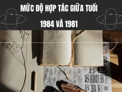 Tuổi 1984 và 1981 có hợp làm ăn không? Bí quyết để hợp tác