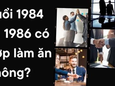 1984 và 1986 hợp làm ăn không? Phân tích chi tiết ngũ hành