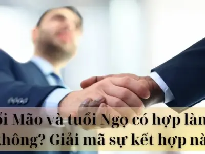 Tuổi Mão và tuổi Ngọ có hợp làm ăn không? Chuyên gia lý giải