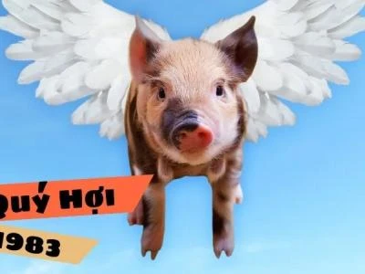 Tuổi Quý Hợi 1983 hợp với số nào để thành công và hạnh phúc?