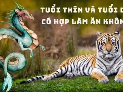 Tuổi Thìn và tuổi Dần có hợp làm ăn không? Bí quyết hợp tác