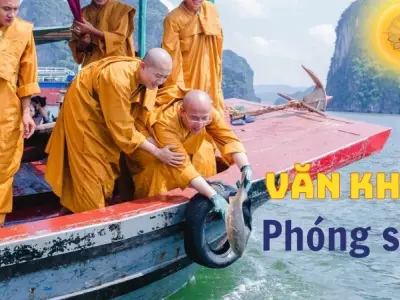 Văn khấn phóng sinh hồi hướng công đức tại nhà đầy đủ nhất