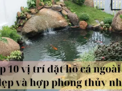 Top 10 vị trí đặt hồ cá ngoài sân đẹp và hợp phong thủy nhất