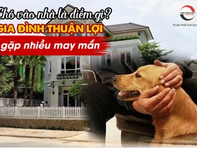 Chó Vào Nhà Là Điềm Gì? Giải Mã Ý Nghĩa Tâm Linh Chi Tiết Nhất 2026