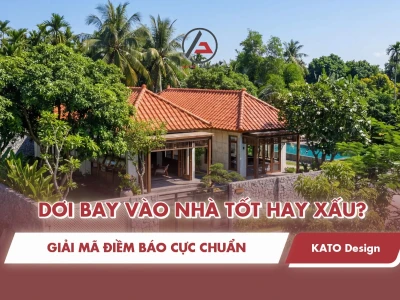 Dơi bay vào nhà là điềm gì? Giải mã ý nghĩa từ góc nhìn chuyên gia