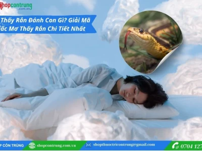 Giải Mã Giấc Mơ Thấy Rắn: Điềm Báo Tốt Lành Hay Xui Xẻo Cho Bạn?