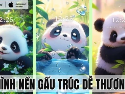 Khám phá ngay bộ sưu tập ảnh nền avatar gấu cute độc đáo 2026