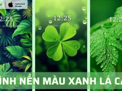 Khám phá vẻ đẹp hình nền màu xanh lá cây cho mọi thiết bị