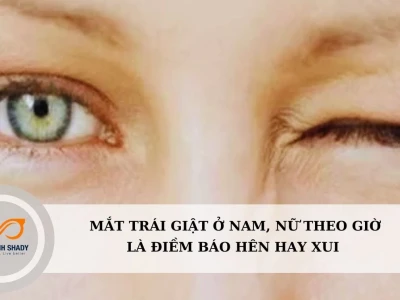 Mắt Trái Nam Giật Là Điềm Gì? Giải Mã Toàn Diện Theo Giờ Và Khoa Học
