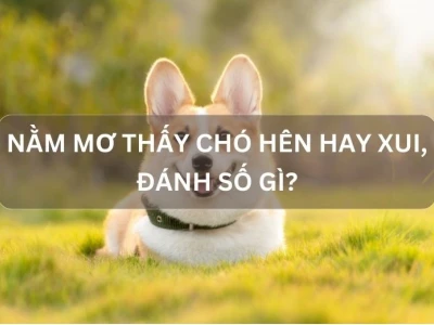 Nằm mơ thấy chó cắn là điềm gì và nên đánh con số nào?