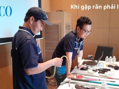 Rắn bò vào nhà là điềm báo gì? Giải mã ý nghĩa tâm linh và phong thủy