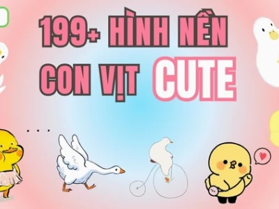 Tổng hợp 134+ avatar vịt cute làm mới trang cá nhân năm 2026