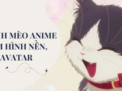 Tuyển Tập Avatar Ngộ Nghĩnh Ảnh Mèo Cute Nhất 2026
