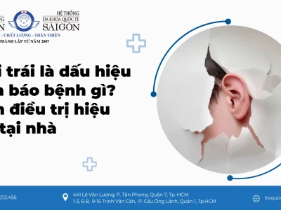 Ù Tai Trái Điềm Gì Giải Mã Theo Giờ Và Ý Nghĩa Sức Khỏe Năm 2026