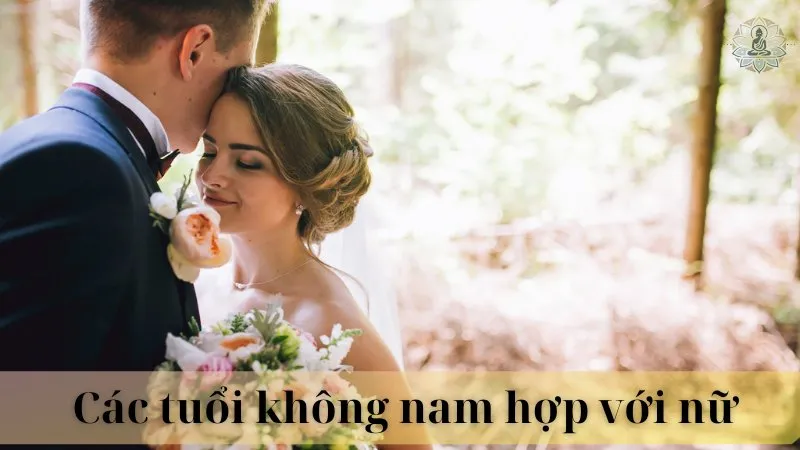 2004 hợp tuổi gì để kết hôn 09