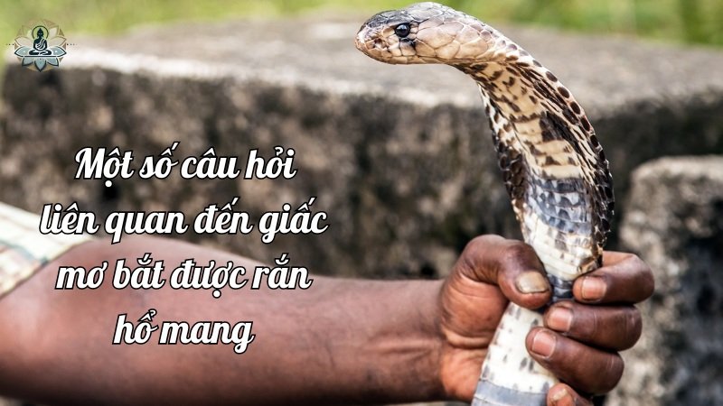 Một số câu hỏi liên quan đến giấc mơ