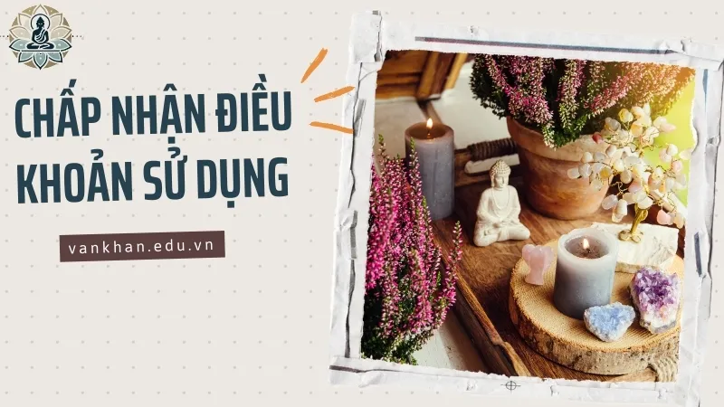 Điều khoản và điều kiện