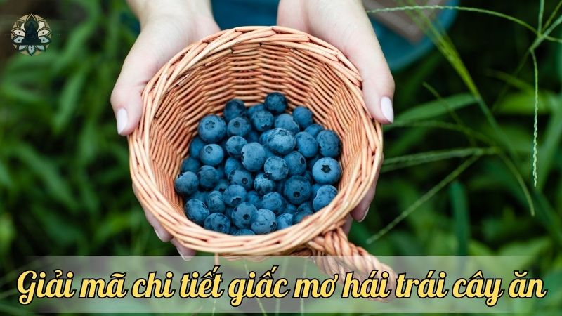 Giải mã chi tiết giấc mơ