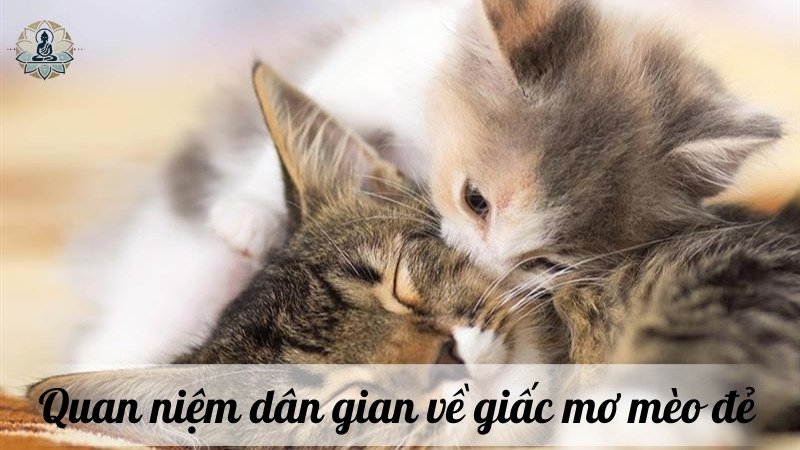 Quan niệm dân gian về giấc mơ mèo đẻ