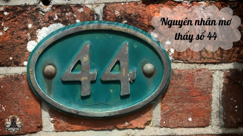 Nguyên nhân mơ thấy số 44