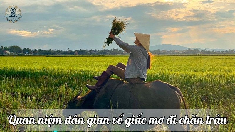 Một số quan niệm dân gian về giấc mơ đi chăn trâu