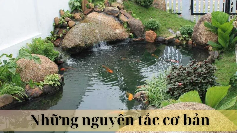 Vị trí đặt hồ cá ngoài sân 03