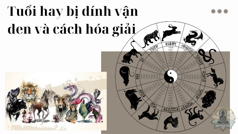 Tuổi hay bị dính vận đen và cách hóa giải