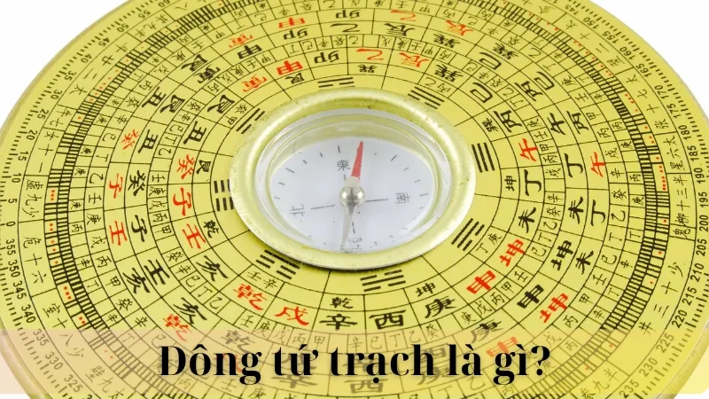 Hướng nhà đông từ trạch 02