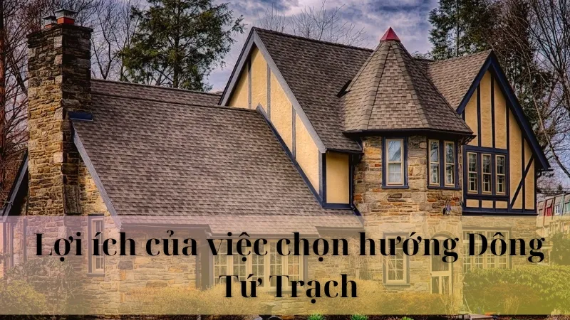 Hướng nhà đông từ trạch 05