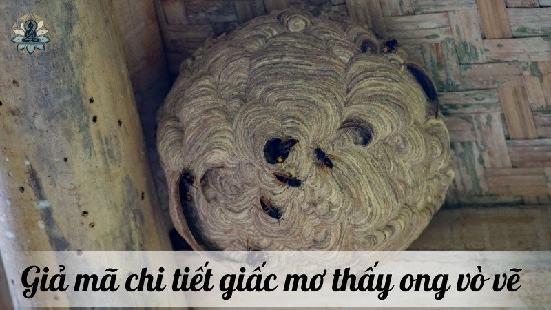 Giả mã chi tiết giấc mơ theo từng trường hợp cụ thể