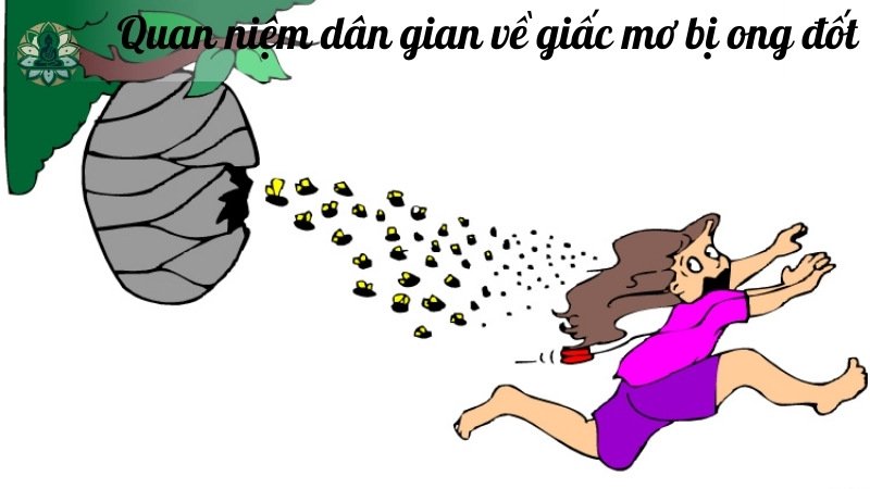 Quan niệm dân gian về giấc mơ bị ong đốt