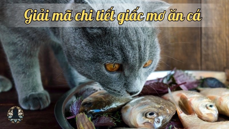 Giải mã chi tiết giấc mơ ăn cá