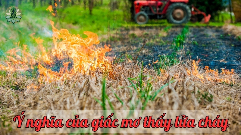 Ý nghĩa của giấc mơ thấy lửa cháy