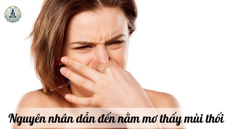 Nguyên nhân dẫn đến nằm mơ thấy mùi thối