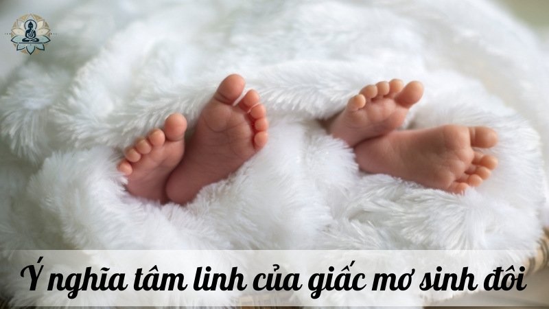 Ý nghĩa tâm linh của giấc mơ sinh đôi