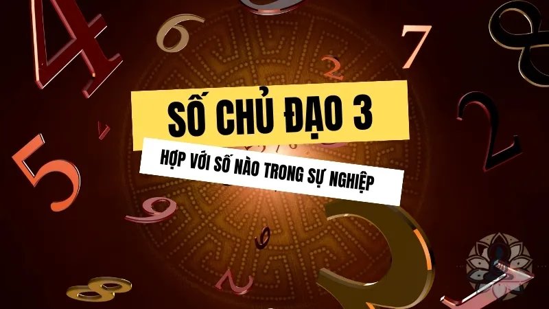 Số chủ đạo 3 hợp với số nào trong sự nghiệp