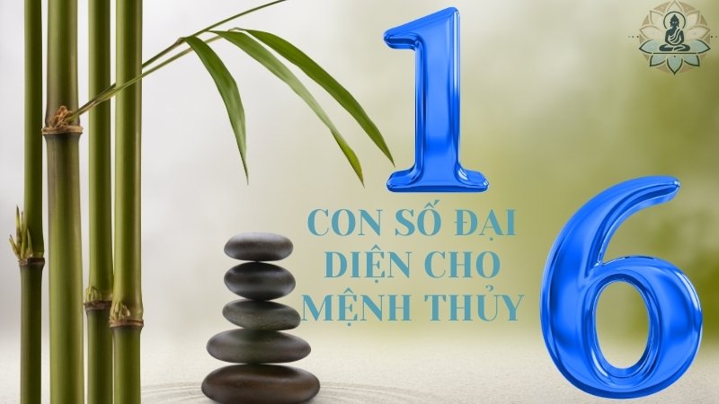 Con số đại diện cho Thủy: 1, 6